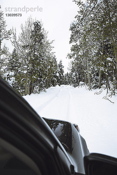 Auto auf schneebedeckter Straße inmitten von Bäumen