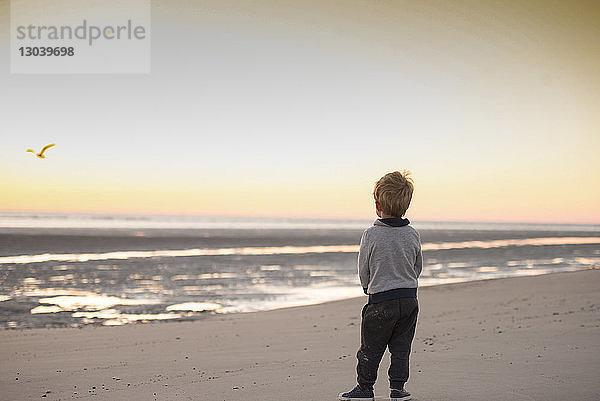 Rückansicht eines Jungen  der bei Sonnenuntergang am Strand gegen den Himmel steht