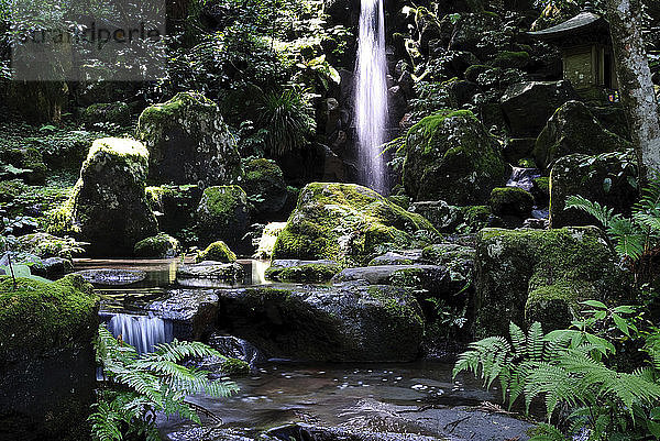 Szenische Ansicht eines Wasserfalls im Wald