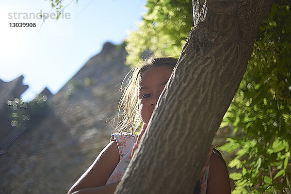 Bildnis eines Mädchens am Baumstamm stehend