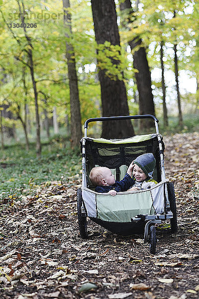 Kleinkind spielt mit seinem Bruder  der im Herbst im Kinderwagen im Park sitzt