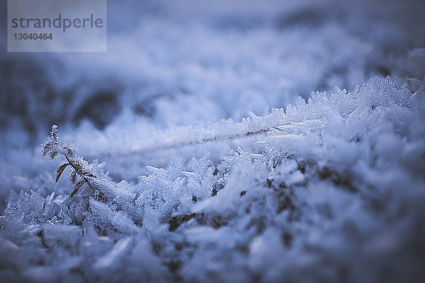 Nahaufnahme der Schneeflocken auf dem Feld