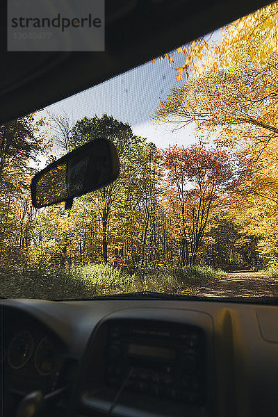 Blick auf Bäume im Wald durch die Windschutzscheibe eines Autos im Herbst