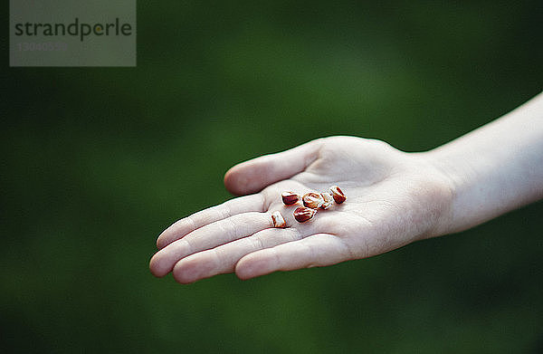 Ausgeschnittenes Bild eines Mädchens mit roten Maiskörnern in der Hand