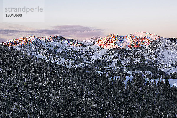 Ruhiger Blick aus hohem Winkel auf Bäume vor schneebedeckten Bergen