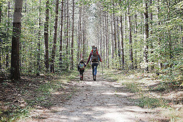 Rückansicht von Mutter und Kindern mit Rucksack beim Wandern im Wald