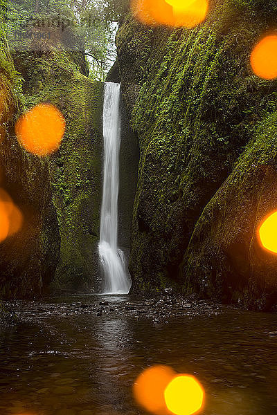 Panoramablick auf den Wasserfall in der Oneonta-Schlucht