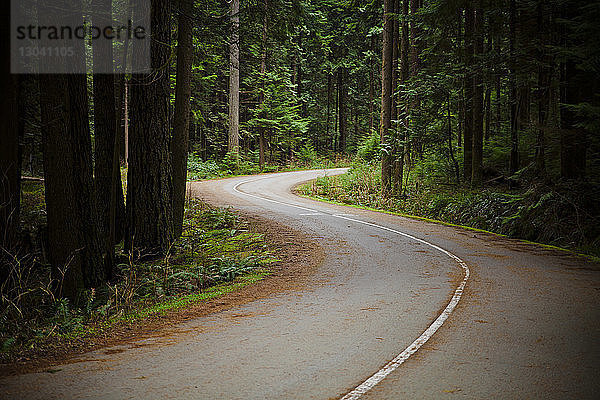 Leere Straße bei Bäumen im Wald