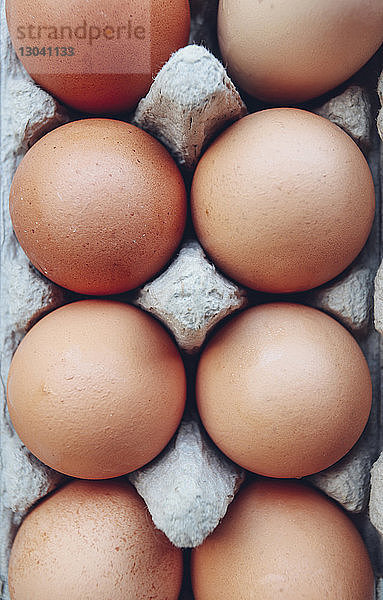 Draufsicht auf den Eierkarton
