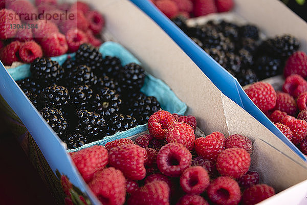 Hochwinkelansicht von Himbeeren und Brombeeren in Schachteln zum Verkauf im Laden