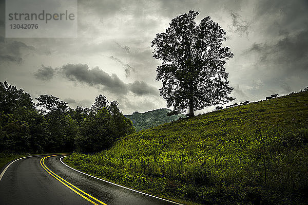 Landstraße durch Grasfeld gegen Gewitterwolken