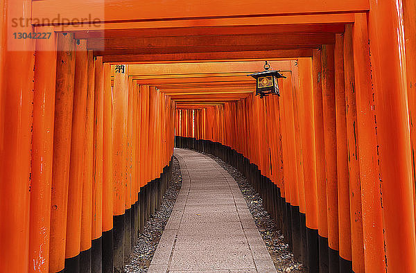 Blick auf die Torii-Tore beim Fushimi Inari-Schrein