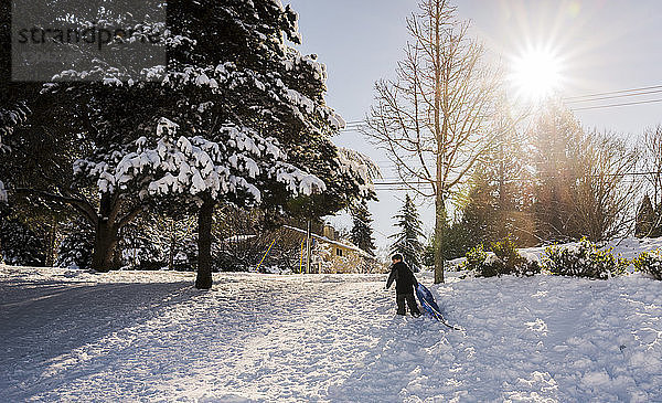 Junge mit Schlitten geht im Winter auf Schnee