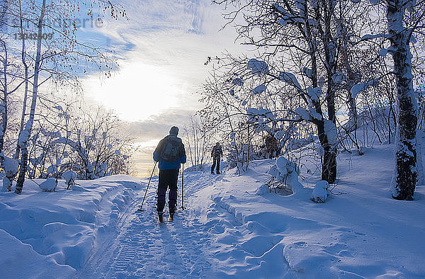 Rückansicht von Skifahrern auf schneebedecktem Feld gegen den Himmel