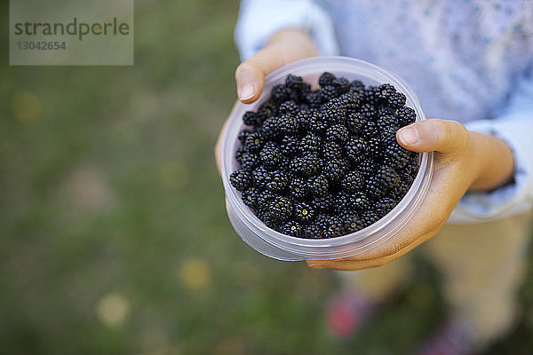 Untere Sektion eines Mädchens  das eine Schale mit Brombeeren im Hof hält