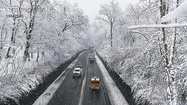 Hochwinkelansicht von Autos  die sich auf der Straße inmitten schneebedeckter kahler Bäume bewegen