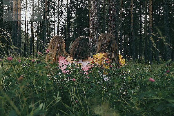 Rückansicht von Freundinnen inmitten von Pflanzen auf einem Feld im Wald