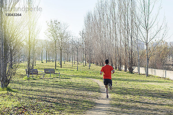 Rückansicht eines Mannes beim Laufen während einer Übung gegen kahle Bäume im Park