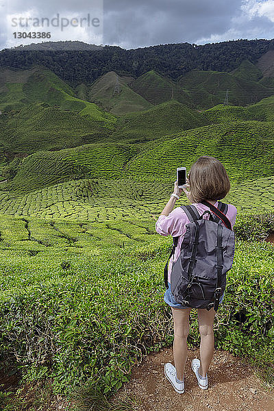 Rückansicht einer Wanderin  die Teepflanzen mit einem Smartphone fotografiert