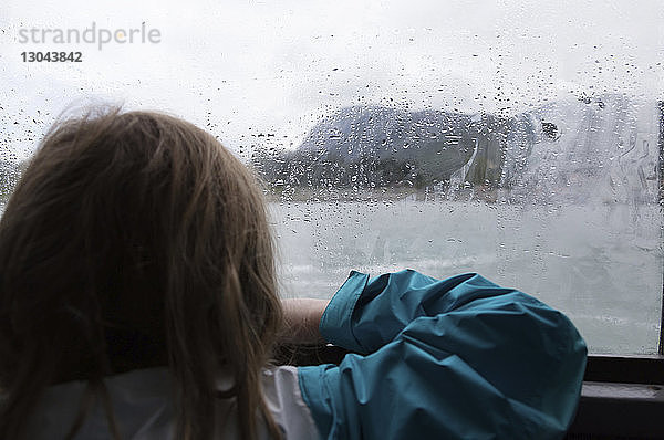 Rückansicht eines Mädchens  das durch ein nasses Fenster schaut