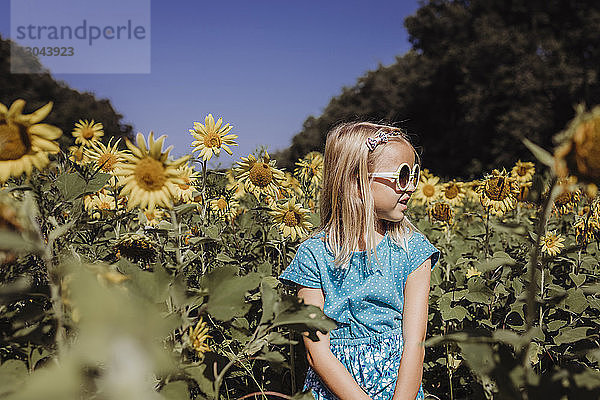 Mädchen schaut weg  während sie im Sommer am Sonnenblumenfeld steht