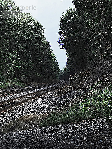 Eisenbahngleis im Wald inmitten von Bäumen