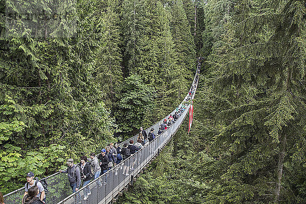 Hochwinkelaufnahme von Touristen  die auf der Capilano-Hängebrücke inmitten des Waldes spazieren gehen