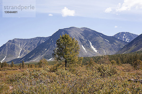 Landschaft gegen schneebedeckte Berge gegen den Himmel