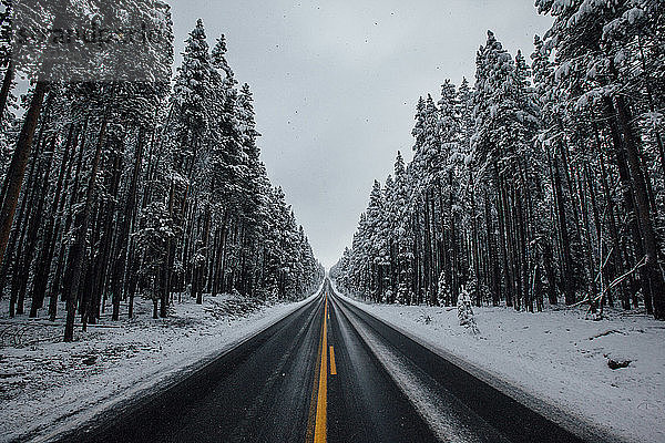 Straße inmitten schneebedeckter Bäume gegen den Himmel