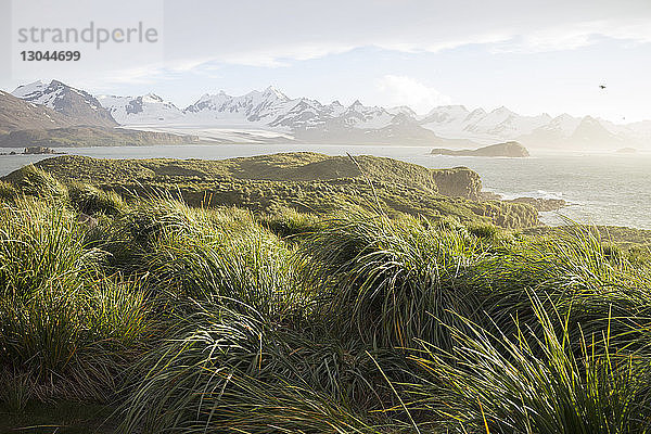 Landschaftliche Ansicht des Büschels der Insel Prion gegen die Berge
