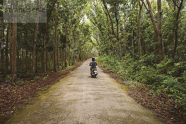 Rückansicht eines Mannes auf einem Motorroller auf einer Straße inmitten von Bäumen im Wald