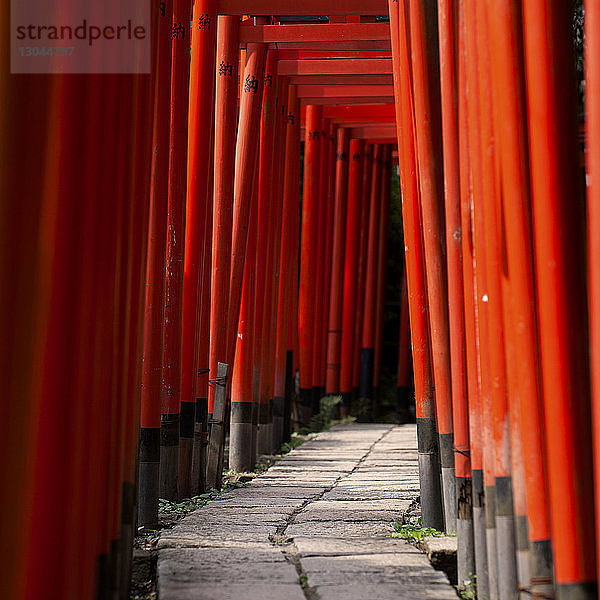 Blick auf die Torii-Tore beim Nezu-Schrein