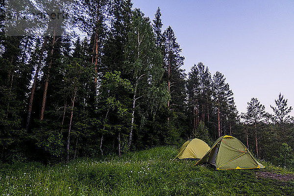 Zelte auf Grasfeld gegen Wald