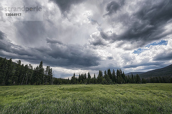 Landschaftliche Ansicht eines Grasfeldes gegen eine stürmische Wolke im Rocky Mountain National Park