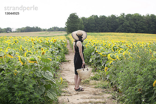 Seitenansicht einer Frau  die einen Korb hält  während sie auf dem Feld inmitten von Sonnenblumen auf dem Bauernhof steht