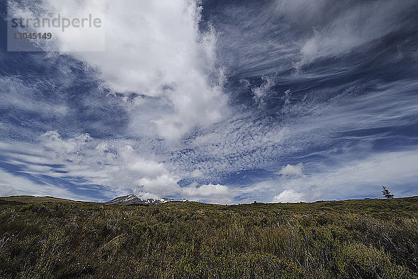 Landschaftlicher Blick auf den Berg Ruapehu auf einem Grasfeld vor bewölktem Himmel im Tongariro-Nationalpark