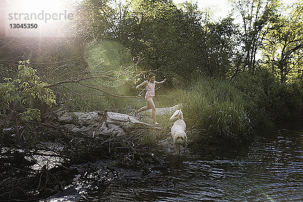 Verspieltes Mädchen mit Hund rennt bei Sonnenschein am Flussufer