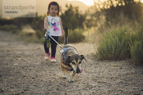 Mädchen in voller Länge mit Hund beim Spazierengehen auf dem Feld