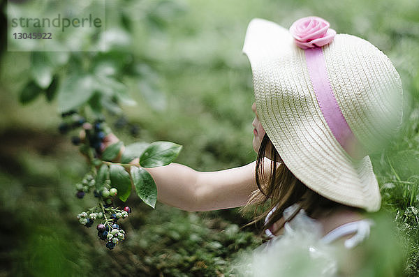 Seitenansicht eines Mädchens beim Brombeerpflücken auf dem Bauernhof