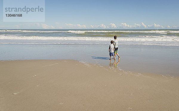 Rückansicht von Brüdern  die am Strand am Ufer stehen