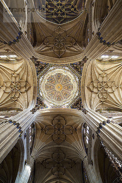 Direkt unter der Aufnahme der Kathedrale von Salamanca