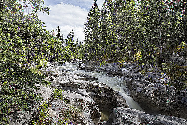 Landschaftliche Ansicht des Flusses  der im Jasper-Nationalpark zwischen Felsen im Wald fließt