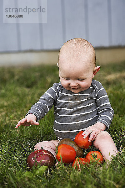 Süßer kleiner Junge spielt im Garten mit frischen Tomaten