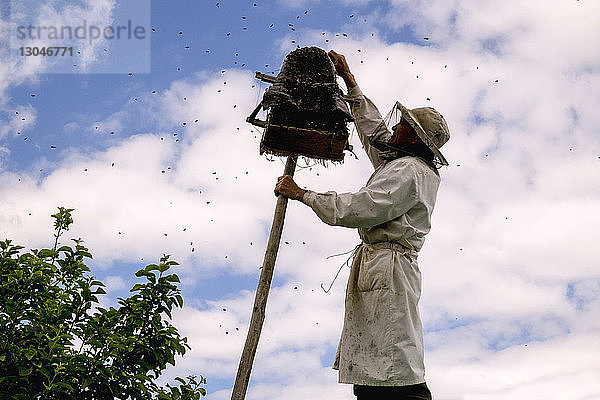 Niedrigwinkelansicht eines Imkers  der bei bewölktem Himmel Honig aus dem Bienenstock entfernt