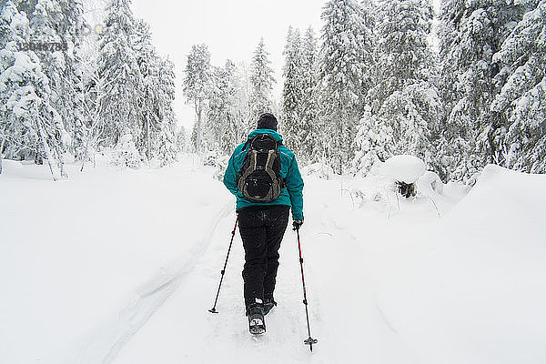Rückansicht von Skifahrern  die auf schneebedecktem Feld gegen Bäume laufen