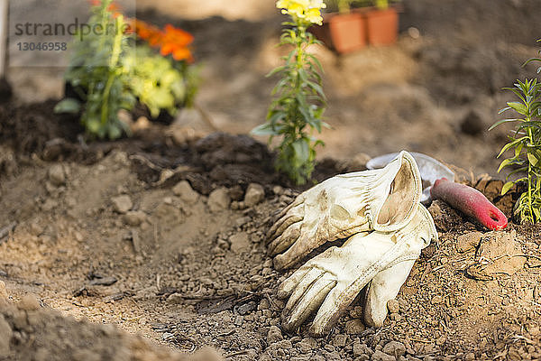 Hochwinkelansicht von Gartenhandschuhen mit Kelle auf dem Feld im Garten