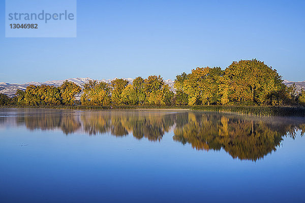 Landschaftliche Ansicht eines ruhigen Sees bei Bäumen gegen klaren blauen Himmel