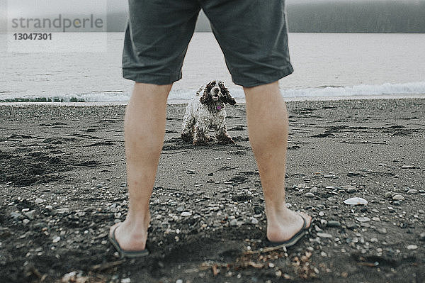 Unterer Teil eines Mannes mit Hund am Strand