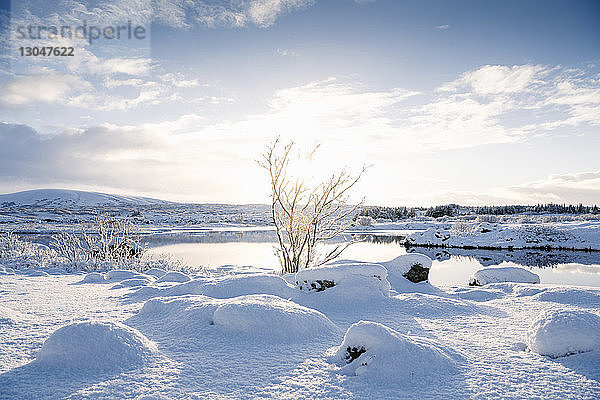 See inmitten eines schneebedeckten Feldes vor bewölktem Himmel
