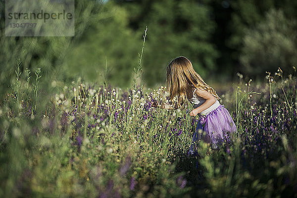 Seitenansicht eines Mädchens beim Blumenpflücken auf dem Feld